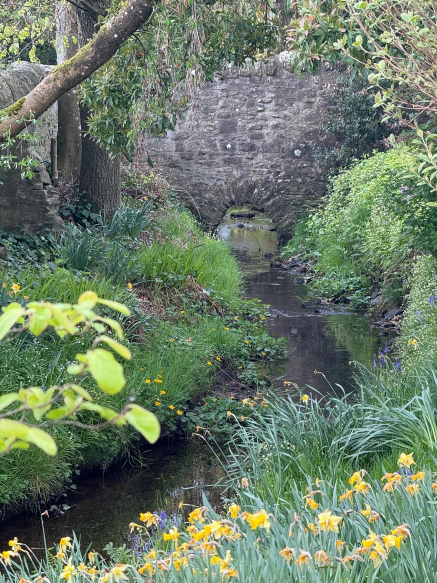 Garden For Two Doune
